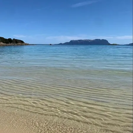 Casa vacanze Stazzo Gallurese Con Vista Sul Golfo Di Olbia