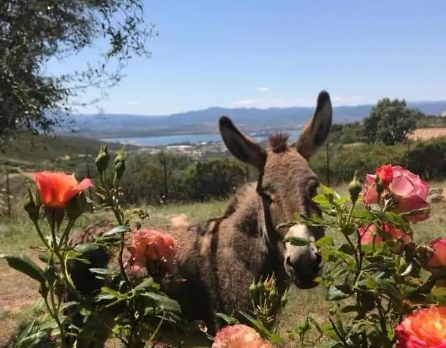 Stazzo Gallurese Con Vista Sul Golfo Di Olbia Nyaraló *