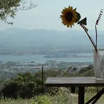 Stazzo Gallurese Con Vista Sul Golfo Di Olbia 피뚤론구