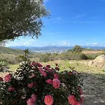 Stazzo Gallurese Con Vista Sul Golfo Di Olbia *