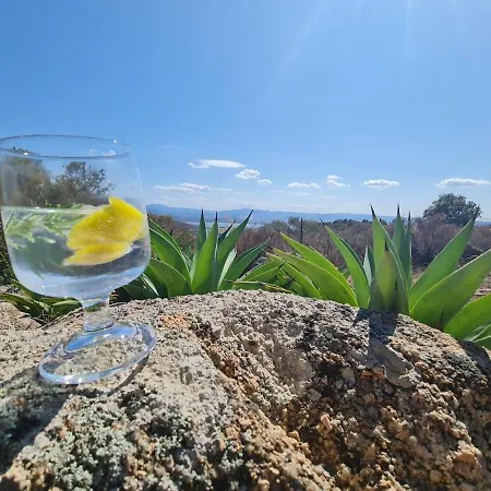 Stazzo Gallurese Con Vista Sul Golfo Di Olbia 펜션 피뚤론구