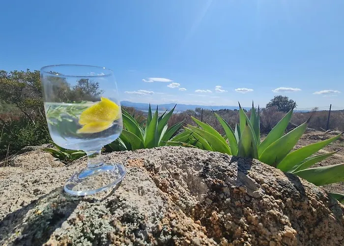 Stazzo Gallurese Con Vista Sul Golfo Di Olbia Semesterbostad Pittulongu