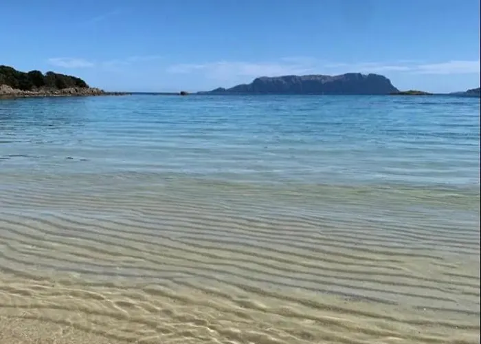 Semesterbostad Stazzo Gallurese Con Vista Sul Golfo Di Olbia